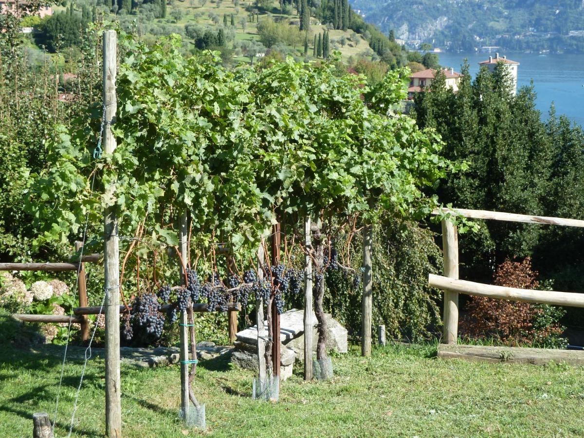 Вилла Bellagio Il Crotto Экстерьер фото